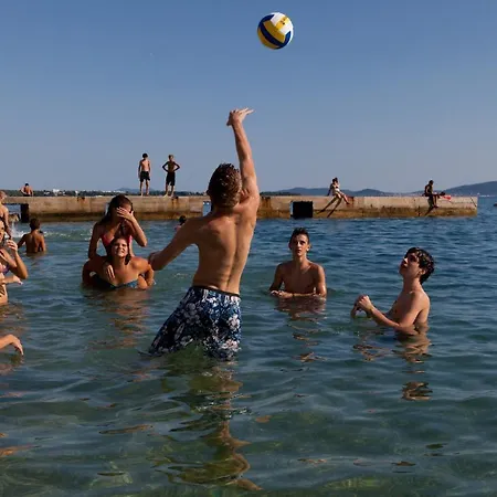 Dani Ζαντάρ